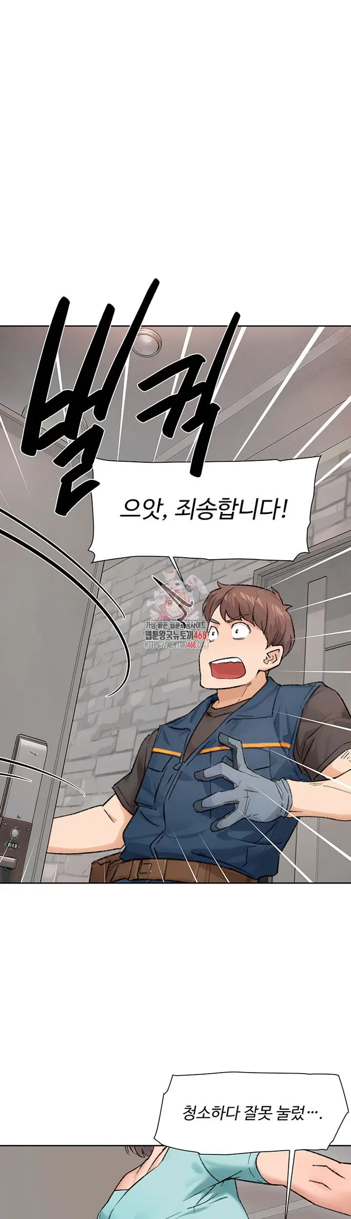 Cleaning Service Raw picture 1