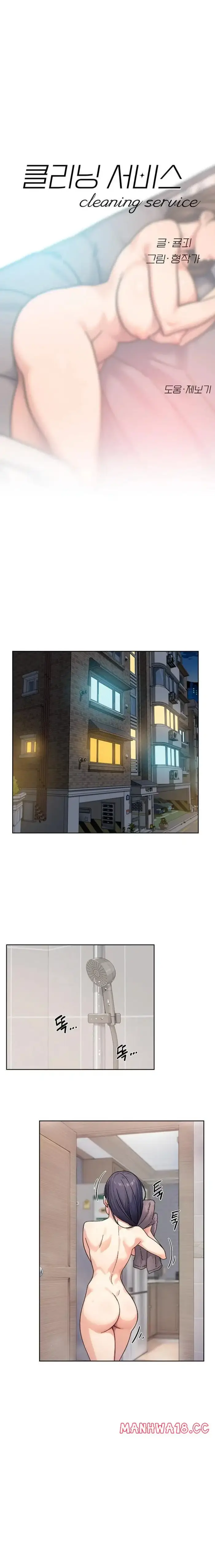 Cleaning Service Raw picture 1