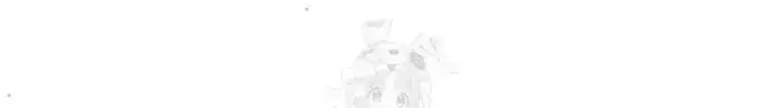 Cleaning Service Raw picture 30