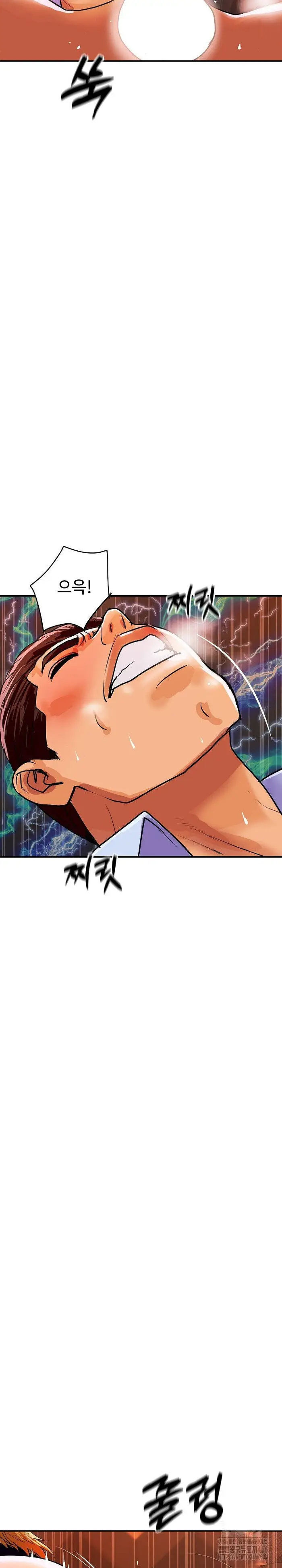 Royal Family Raw picture 28