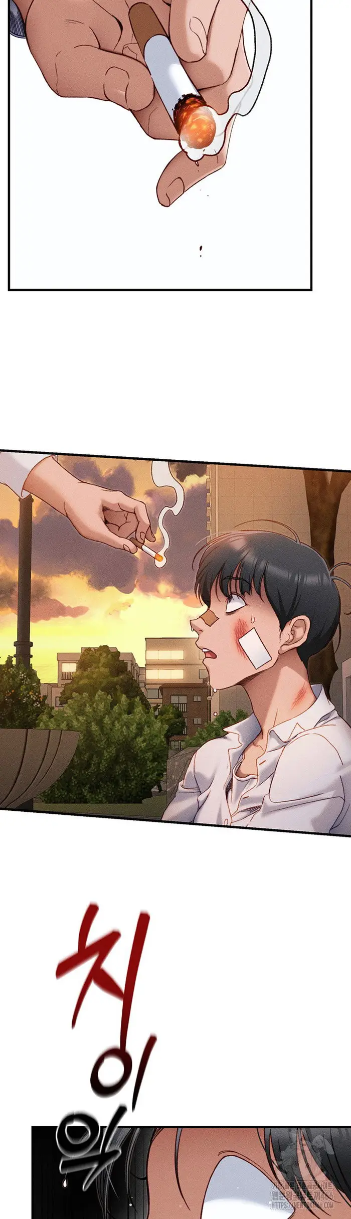 Taming A Female Bully Raw picture 54