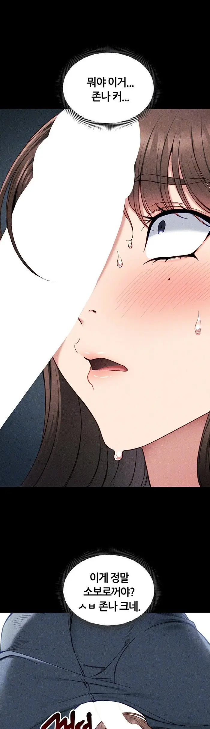 Taming A Female Bully Raw picture 6
